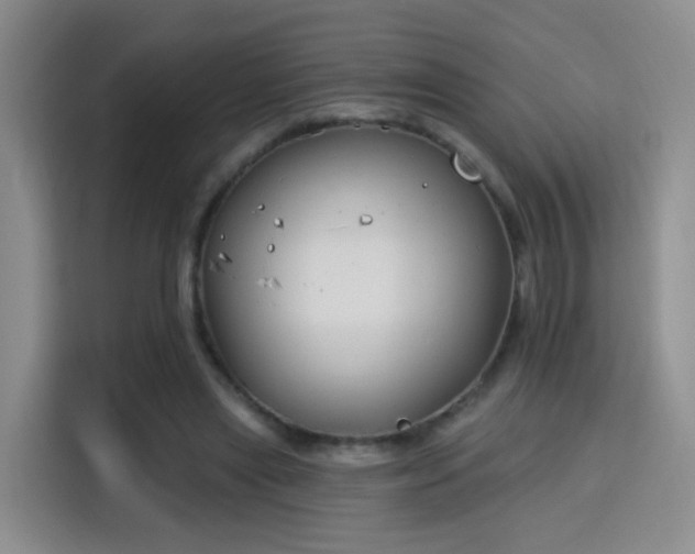 X0000115830445200911201508