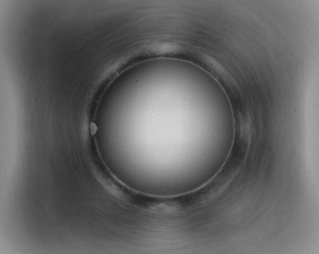 X0000115830447200911201508