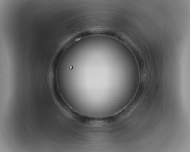 X0000115830448200911201508