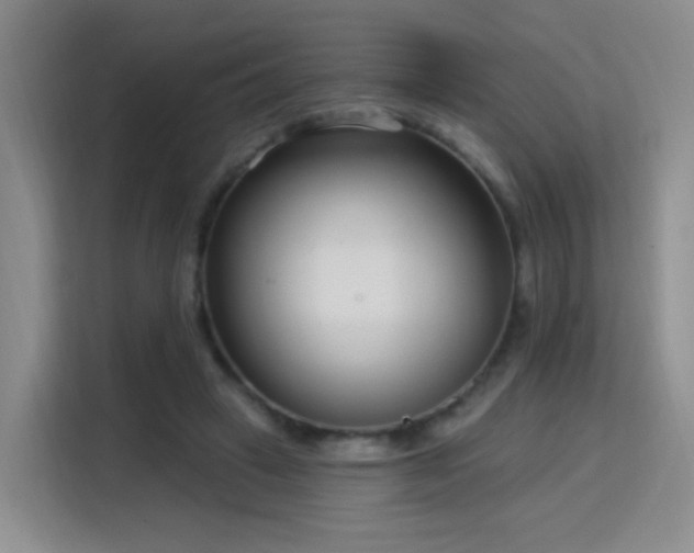 X0000115830449200911201508