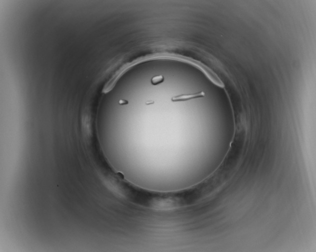 X0000115830452200911201508