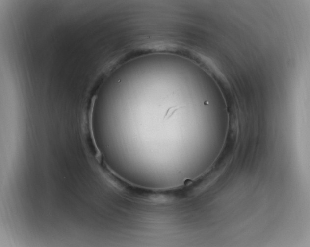 X0000115830453200911201508