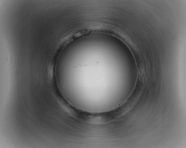 X0000115830454200911201508