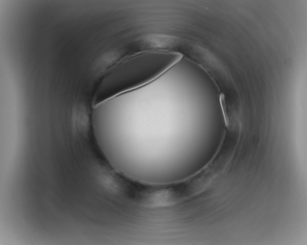 X0000115830456200911201508