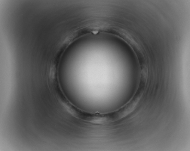 X0000115830458200911201509