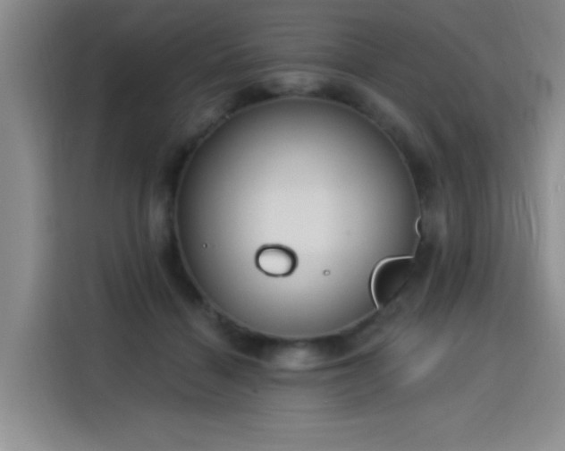 X0000115830460200911201509