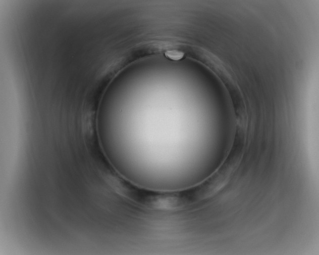 X0000115830462200911201509