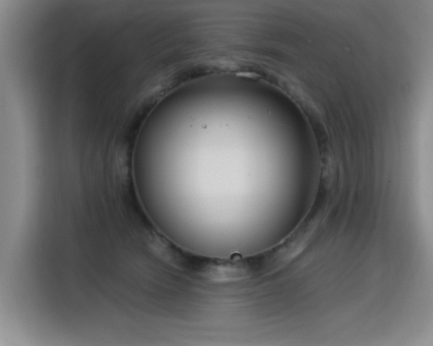 X0000115830466200911201509