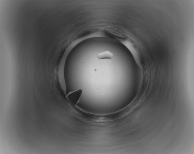 X0000115830467200911201509