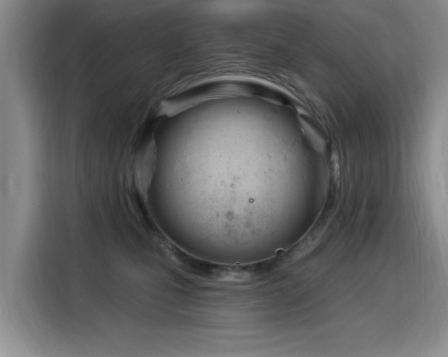 X0000115830471200911201509