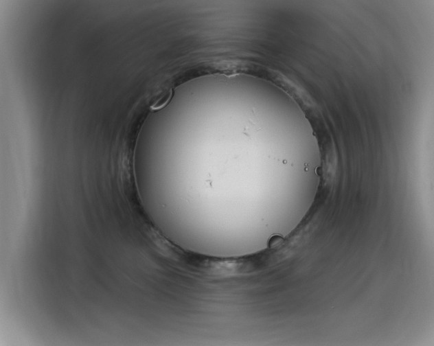 X0000115830473200911201509