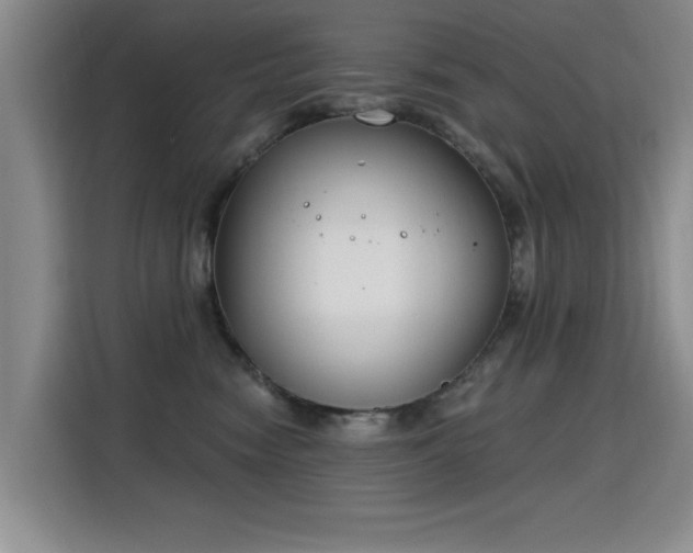 X0000115830474200911201509