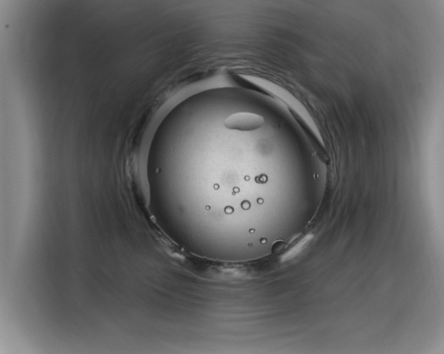 X0000115830475200911201509