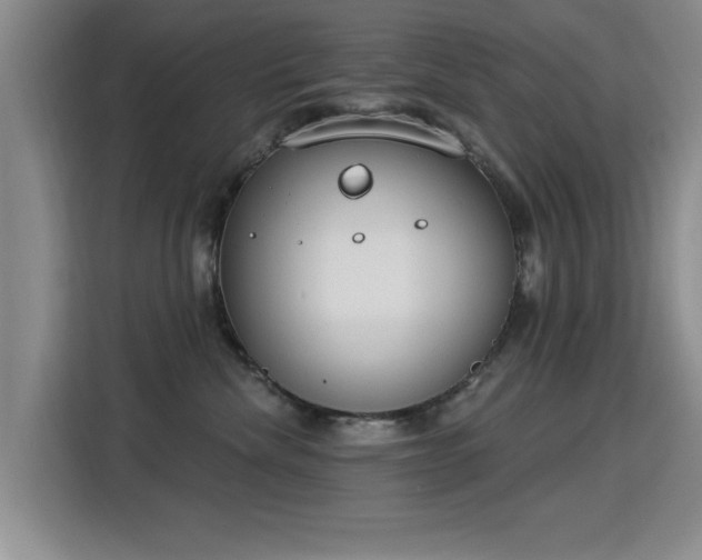 X0000115830476200911201509