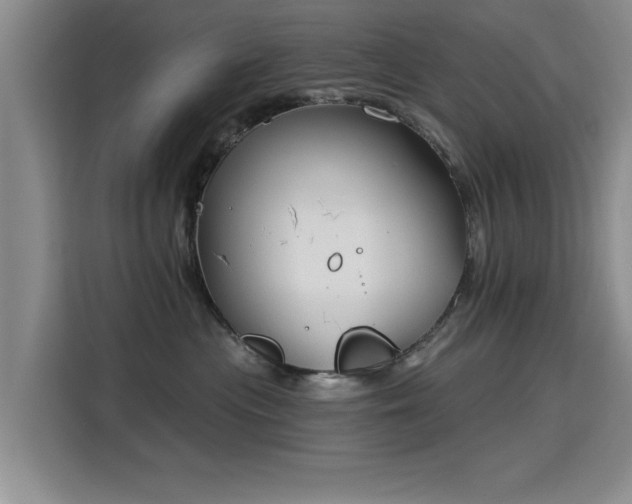 X0000115830477200911201509