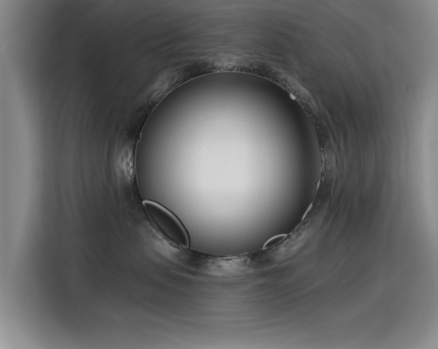 X0000115830479200911201509