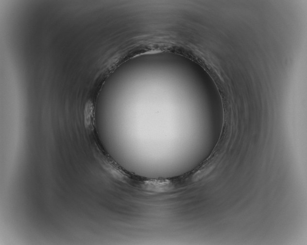 X0000115830480200911201509