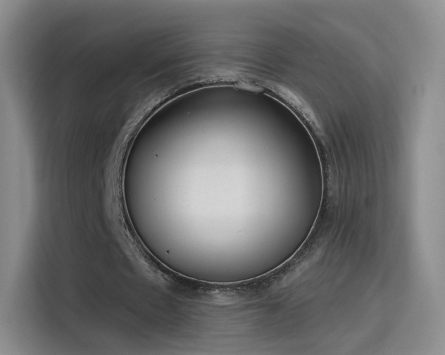 X0000115830481200911201508