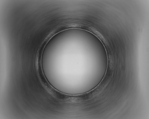 X0000115830482200911201508