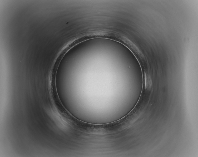 X0000115830483200911201508