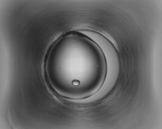 X0000115830485200911201508