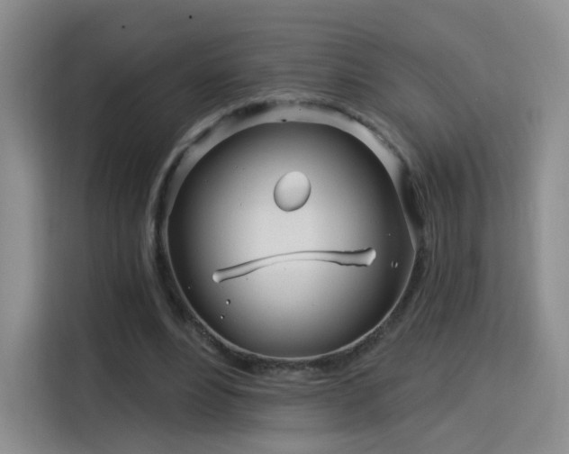 X0000115830488200911201508