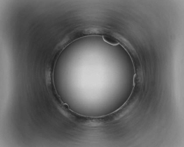 X0000115830489200911201508