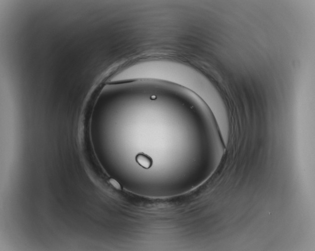 X0000115830492200911201508