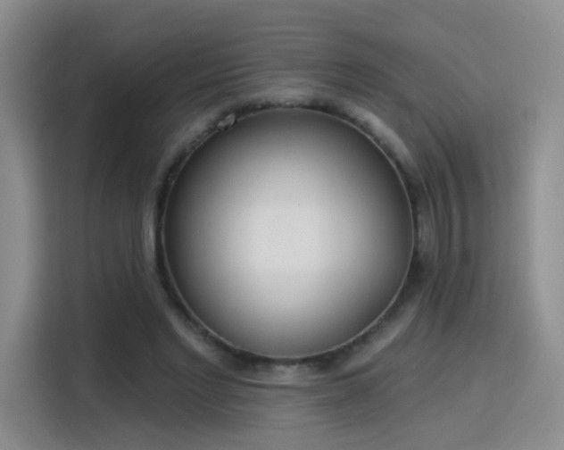 X0000115830493200911201508