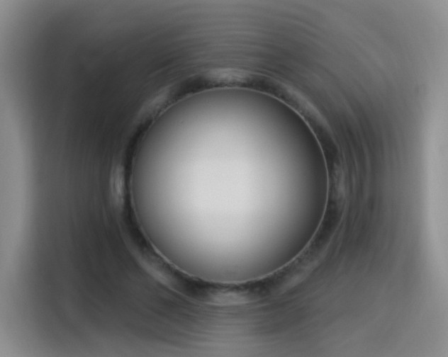 X0000115830494200911201508