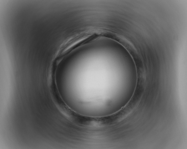 X0000115830496200911201508