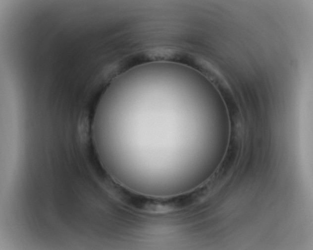 X0000115830498200911201508