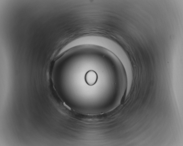 X0000115830500200911201508