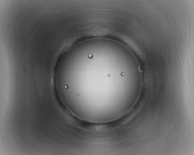 X0000115830501200911201508