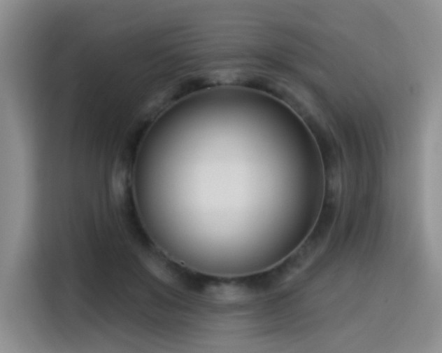 X0000115830503200911201508