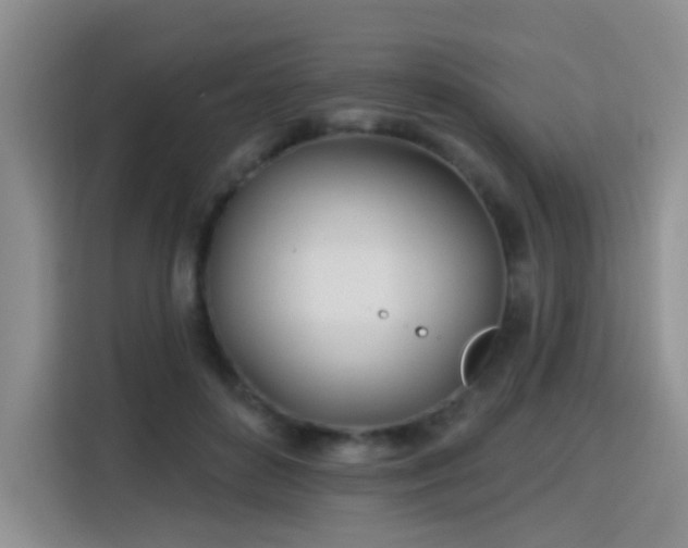 X0000115830504200911201508