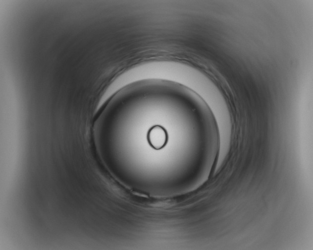 X0000115830505200911201508