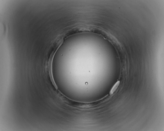 X0000115830513200911201508