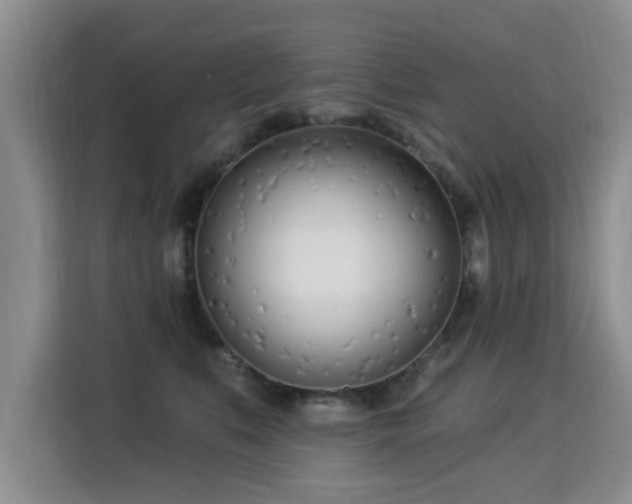 X0000115830519200911201508