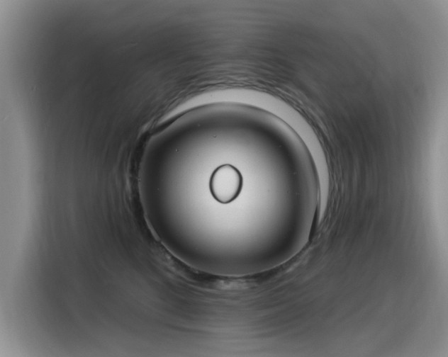 X0000115830520200911201508