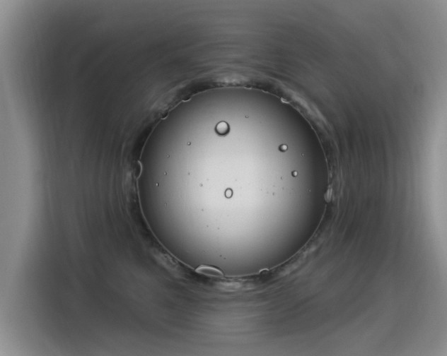 X0000115830521200911201508