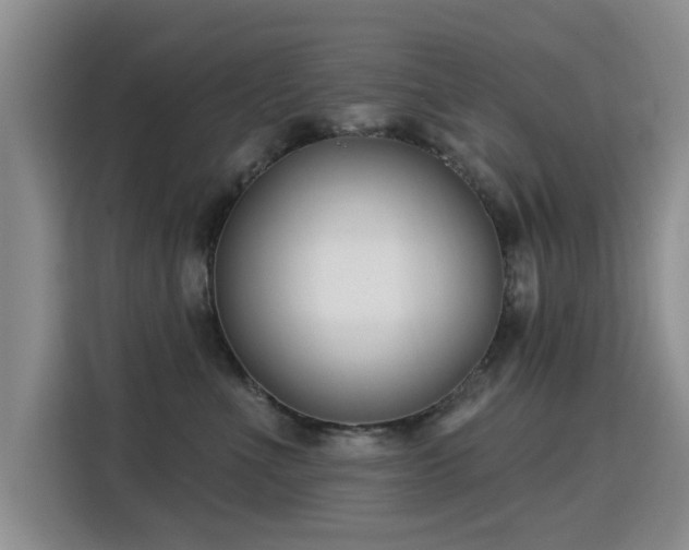 X0000115830523200911201508