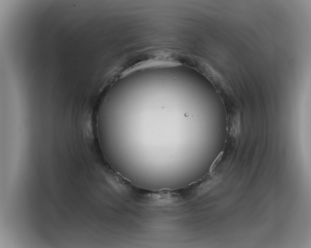 X0000115830524200911201508