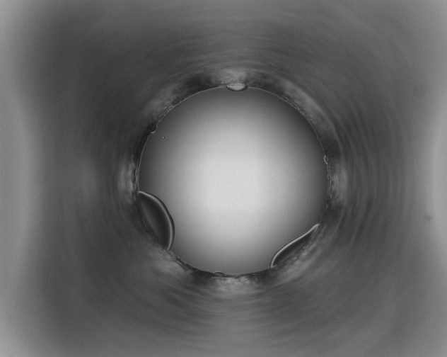 X0000115830525200911201508