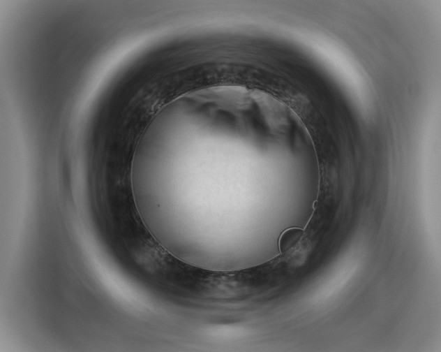 X0000115830526200911201508