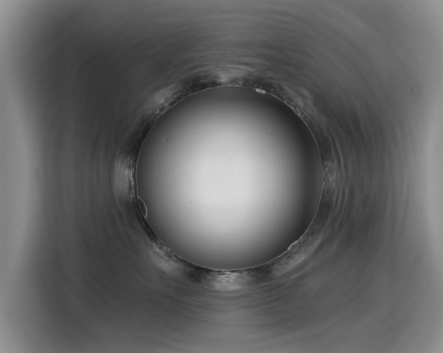 X0000115830527200911201508