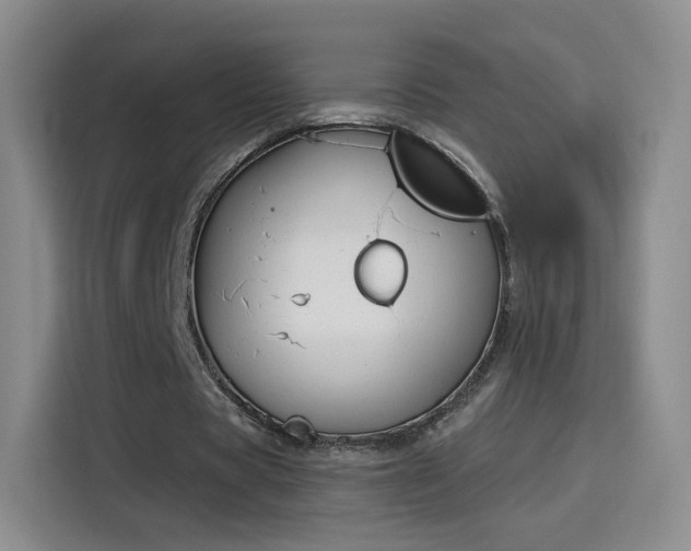 X0000115830529200911201507