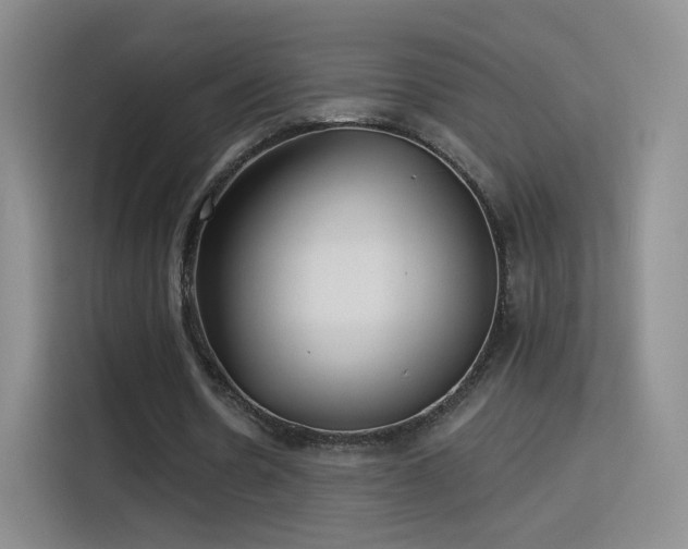 X0000115830530200911201507