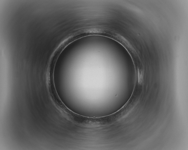 X0000115830531200911201507