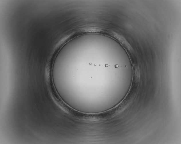 X0000115830533200911201507